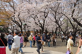 賑わう本堂前の広場